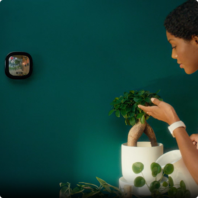 See what's happening at your front door, on your thermostat.