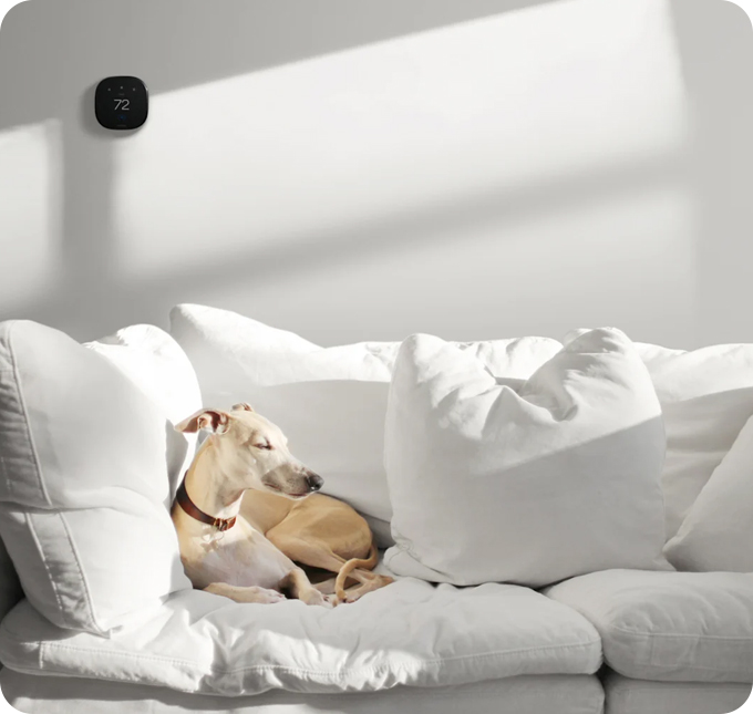 Comfort without compromise.
